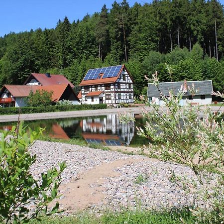 Ferienwohnung Nuessleshof Fambach 外观 照片
