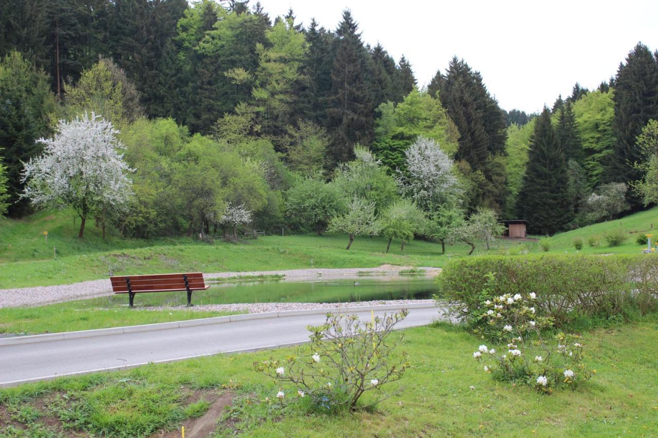 Ferienwohnung Nuessleshof Fambach 外观 照片